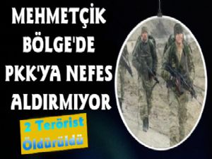 Bölge'de Terör Operasyonu, 2 pkk'lı Öldürüldü