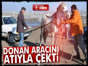 Kars'ta Atıyla Donan Aracını Çekti