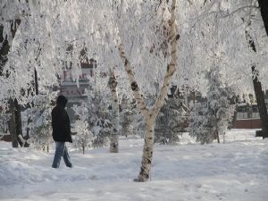 Doğu Donuyor, - 32