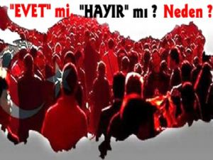 Biz Sorduk Siz Cevapladınız Neden "EVET", Neden "HAYIR"