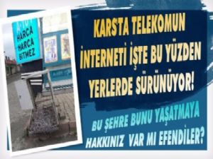Kars'ta Telekom Ne İş Yapar?