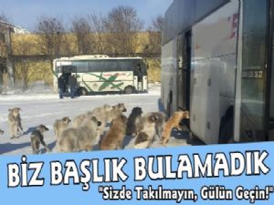 Kars Otogarında Çekilen Bu Fotoğraf Sosyal Medyayı Salladı
