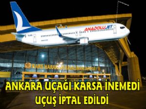 Kars'ta Şiddetli Rüzgar Uçak Seferini İptal Ettirdi