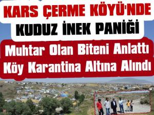 Karsta Kuduz İnek Kabusu, Köy Karantinaya Alındı