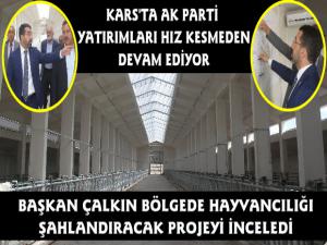 Başkan Adem Çalkın Karsı Şahlandıracak Besi Çiftliği ve Kesimhanedeki Çalışmaları İnceledi