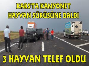 Kars'ta Otomobil Hayvan Sürüsüne Çarptı