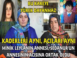 Aynı Kaderi Yaşayan Acılı Anneler Bu Fotoğraf Karesinde