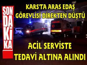 Kars'ta Tedaş Görevlisi Direkten Düşerek Yaralandı