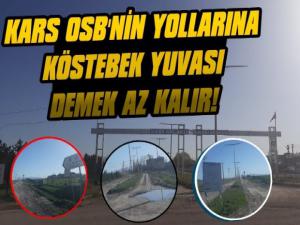 Kars OSBnin Yolu Çukurlardan Geçilmiyor