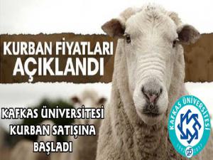 Kafkas Üniversitesi Kurbanlık Hayvan Satışına Başladı