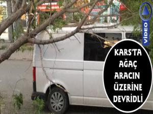 Kars'ta Şiddetli Rüzgar Ağacı Arabanın Üzerine Devirdi