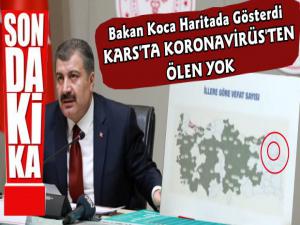 Karsta Koronavirüsten Ölen Yok