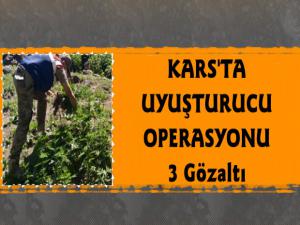 Kars Jandarmadan Uyuşturucu Operasyonu 3 Gözaltı