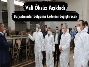 Kars'ta Modern Besi Çiftliği ve Kesimhanede Sona Yaklaşıldı