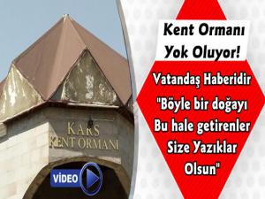 Kars Kent Ormanı Yok Oluyor