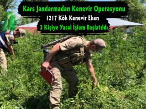Kars'ta 3 Kişiye Kenevir Ekmekten Yasal İşlem Yapıldı