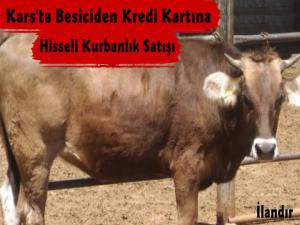 Kars'ta Üreticiden Kredi Kartına Hisseli Kurbanlık Kampanyası