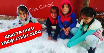 Kars'ta Dolu Yağışı Etkili Oldu