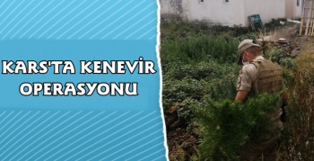 Kars'ta Kenevir Operasyonu