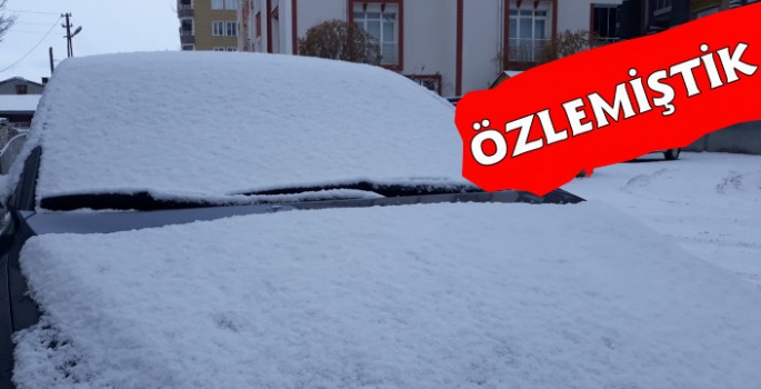 Kars'ta Gece Saatlerinde Kar Yağışı Etkili Oldu