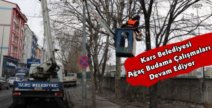 Kars Belediyesi Ağaç Budama Çalışmaları Devam Ediyor