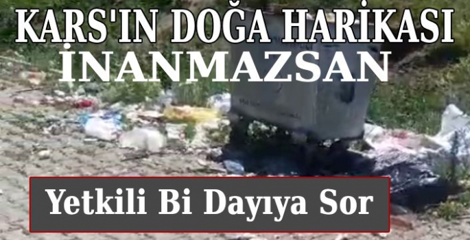 Kars'ın Doğa Harikası İnsan Eliyle Yok Oluyor, Sorumlular Ortada Yok!