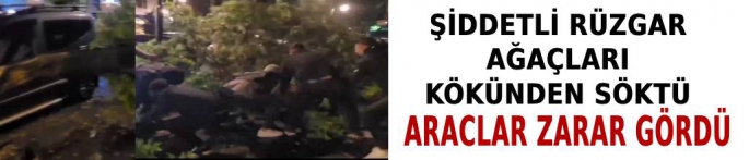 Kars'ta şiddetli rüzgar yıktı geçti