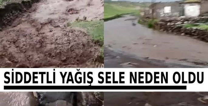 Şiddetli Yağış Sele Neden Oldu, Tarım Arazileri Zarar Gördü