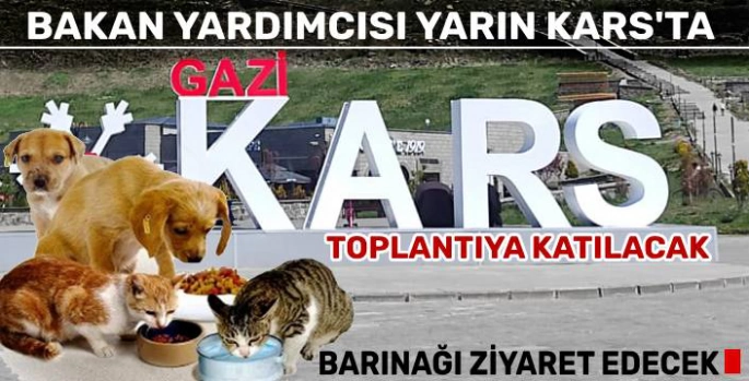 İçişleri Bakan Yardımcısı Bülent Turan, Yarın Kars'a Geliyor
