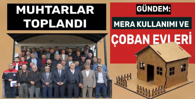 Kars'ta Meralar Masaya Yatırıldı: Çobanlara Barınma Desteği Yolda