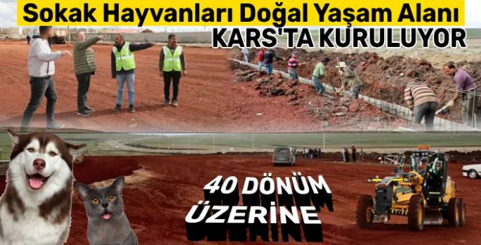 Kars'ta Sokak Hayvanları İçin Doğal Yaşam Alanı Kuruluyor