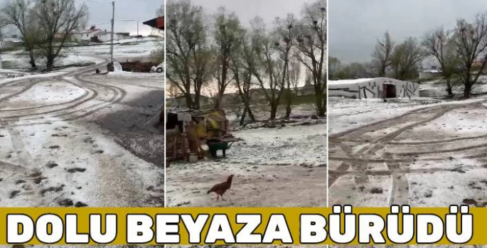 Kara Bulutlar Beyaza Bürüdü: Arpaçay'da Dolu Yağışı Tarım Arazilerini Vurdu