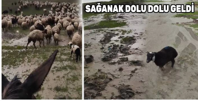 Kars'ın Akyaka İlçesinde Dolu ve Sağanak Yağış Hayatı Olumsuz Etkiledi