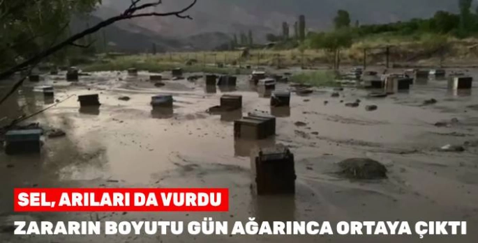 Kars'ta Sel Felaketi: Aşağıtut Köyü'nde Büyük Maddi Zarar