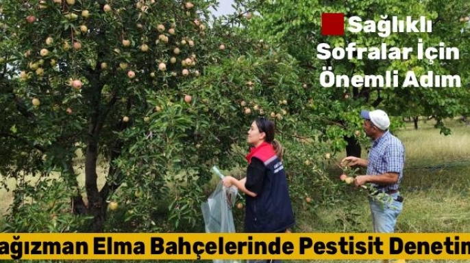 Kağızman'da Elma Bahçelerinde Pestisit Denetimi: Sağlıklı Sofralar İçin Önemli Adım