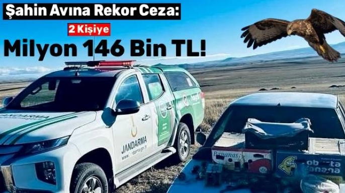 Kars’ta Yasa Dışı Şahin Avına Rekor Ceza: 2 Kişiye 1 Milyon 146 Bin TL!