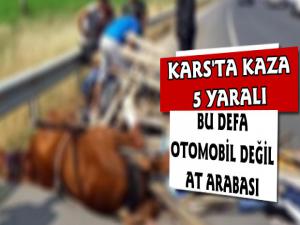 Kars'ta At Arabası Devrildi 5 Yaralı