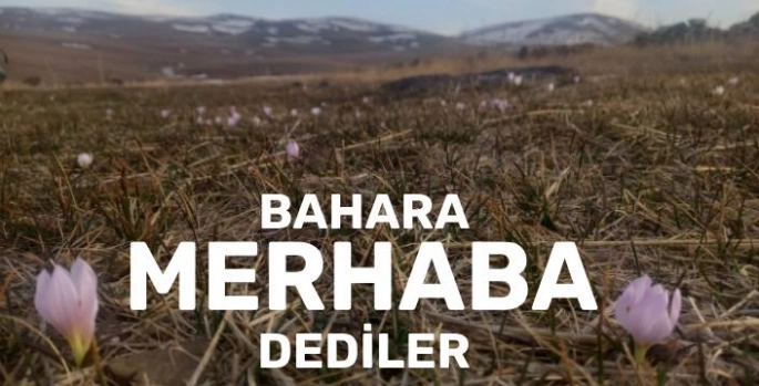 Kars'ta Baharın Müjdecisi Kardelenler Açtı