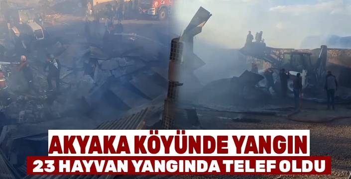 Ardahan’da Ahır Yangını: 23 Hayvan Telef Oldu