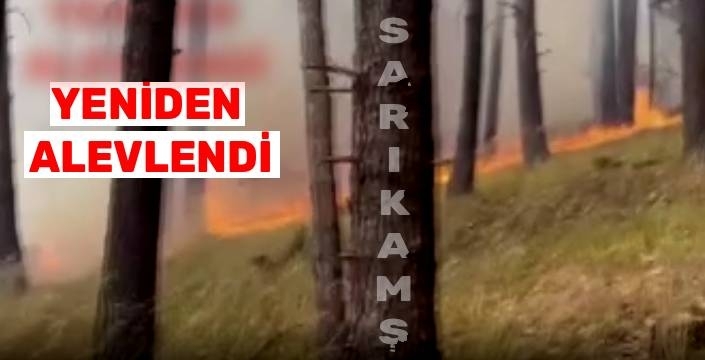 Sarıkamış'ta Orman Yangını Yeniden Alevlendi: Ekipler Seferber Oldu