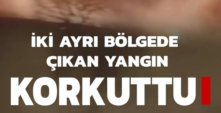 Ardahan’da iki ayrı bölgede çıkan yangın korkuttu