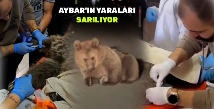 Aybar'ın Yaraları Sarılıyor