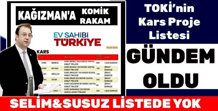 TOKİ’nin Kars Proje Listesi Açıklandı: Selim ve Susuz Listede Yok, Kağızman'a Komik Rakam!