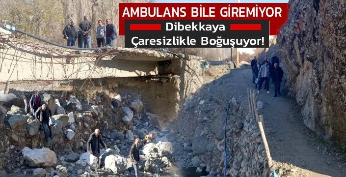 Ambulans Bile Giremiyor: Dibekkaya Çaresizlikle Boğuşuyor!