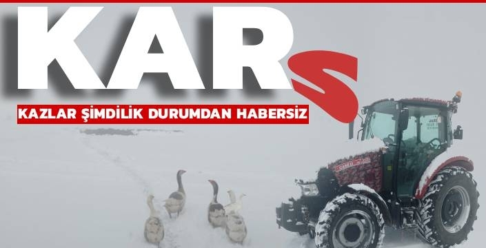 Kars’ın Yüksek Kesimlerinde Kış Kapıyı Araladı: Akçakale Köyü Beyaza Büründü