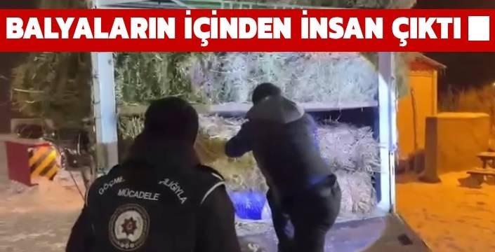 Balyaların İçinden İnsan Çıktı!