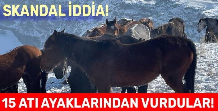 Kars'ta 15 At Ayaklarından Vuruldu İddiası!