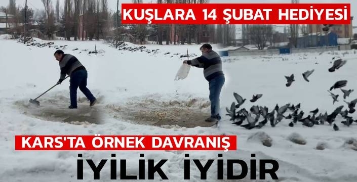 Kars’ta Yürek Isıtan Davranış: Soğukta Aç Kalan Güvercinlere Umut Oldu