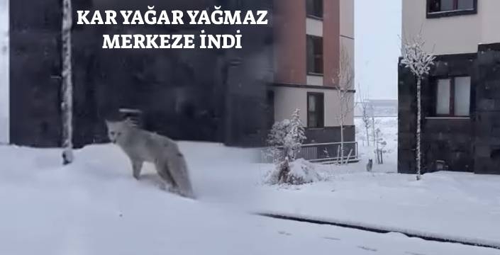 Kars’ta Bahar Yerine Kış: 5 Dakikada Beyaza Büründü