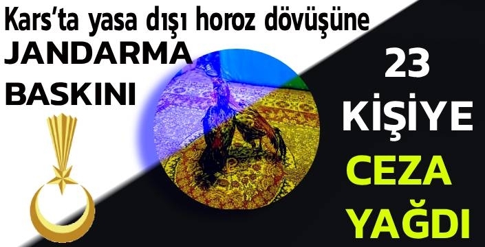 Kars’ta yasa dışı horoz dövüşüne jandarma baskını: 23 kişiye ceza yağdı